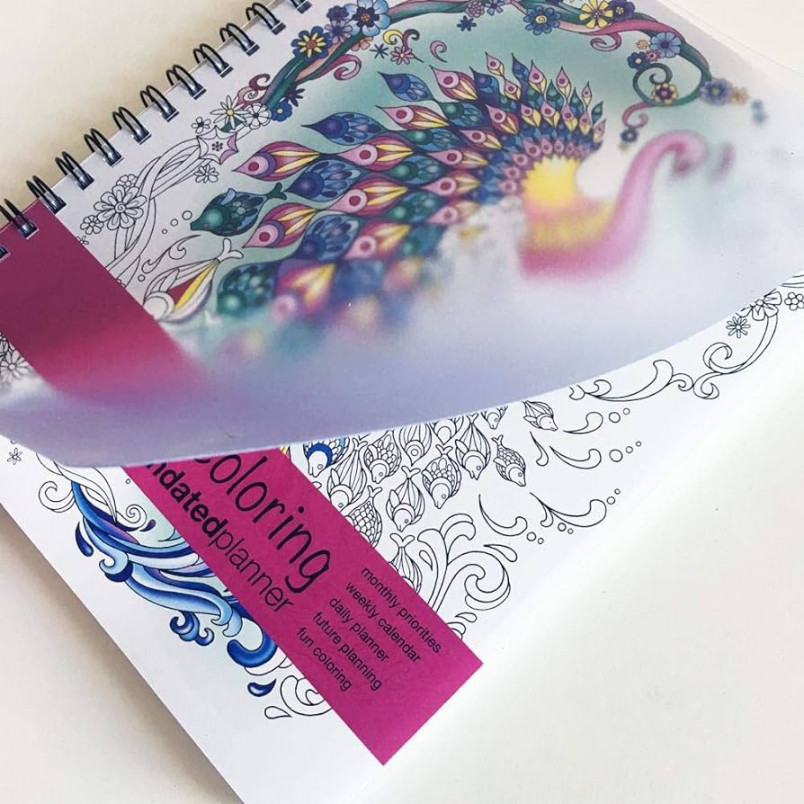 Amazon.com : Action Publishing Undated Coloring Day Planner (