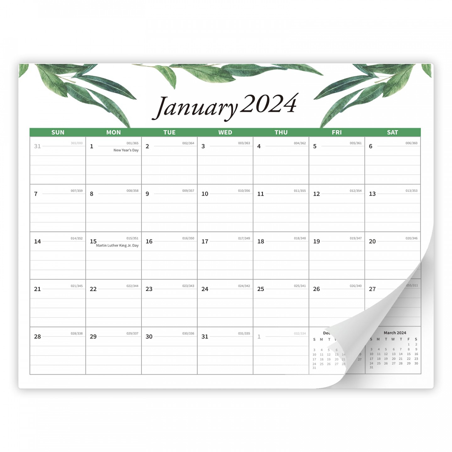 Calendar - - Magnetic Calendar for Fridge, Runs from January   Until June , Fridge Calendar - for School, Office & Home