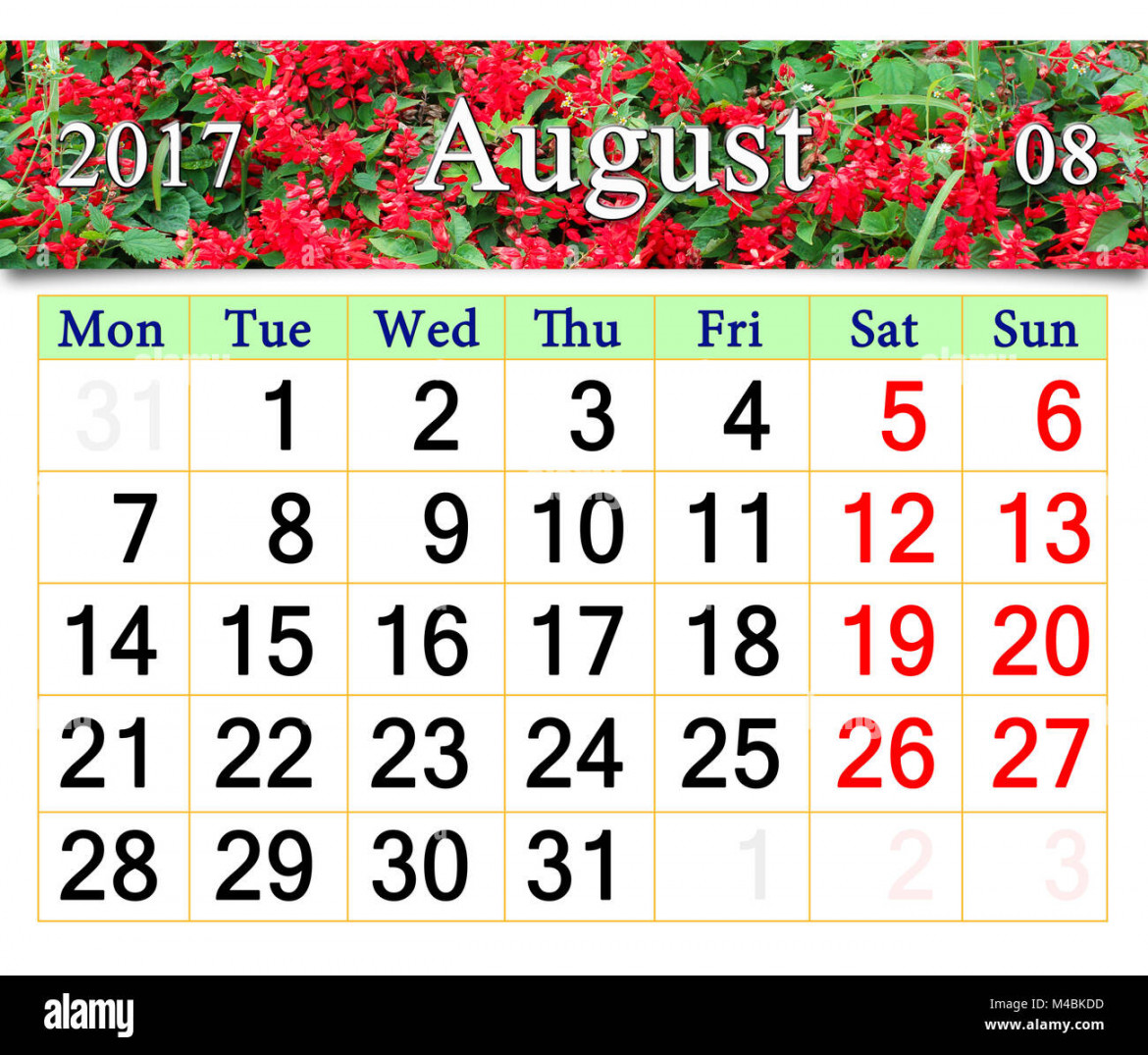 Beautiful calendar august  year hi-res stock photography and