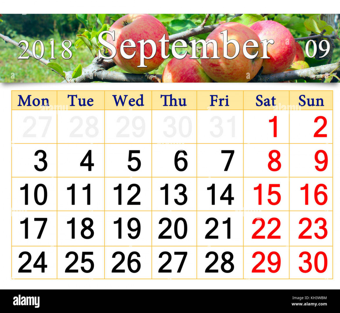 beautiful calendar for September  year with ripe apples on the