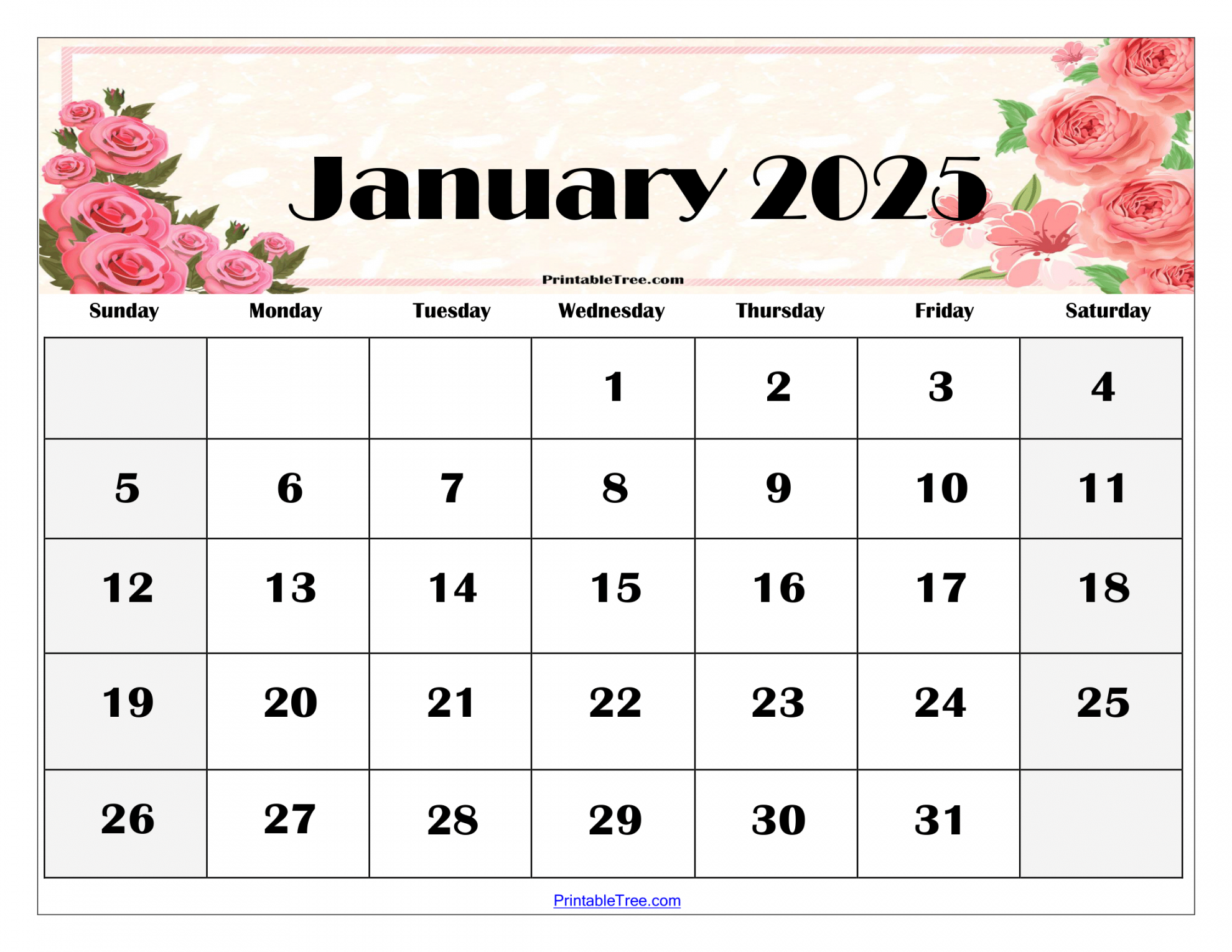 January  Calendar Printable PDF Template with Holidays