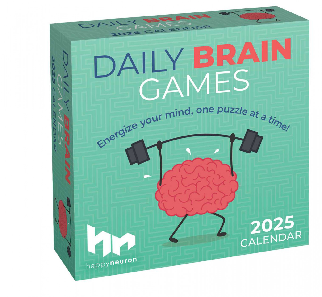 Daily Brain Games  Day-to-Day Calendar - Book Summary & Video