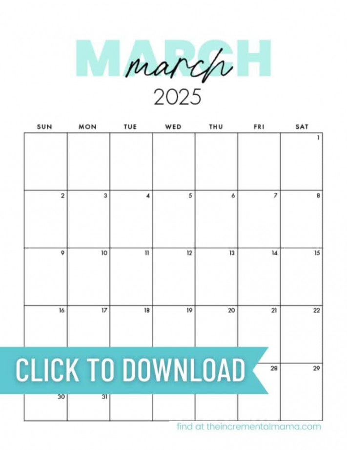 Cute  Monthly Calendar Free Printable