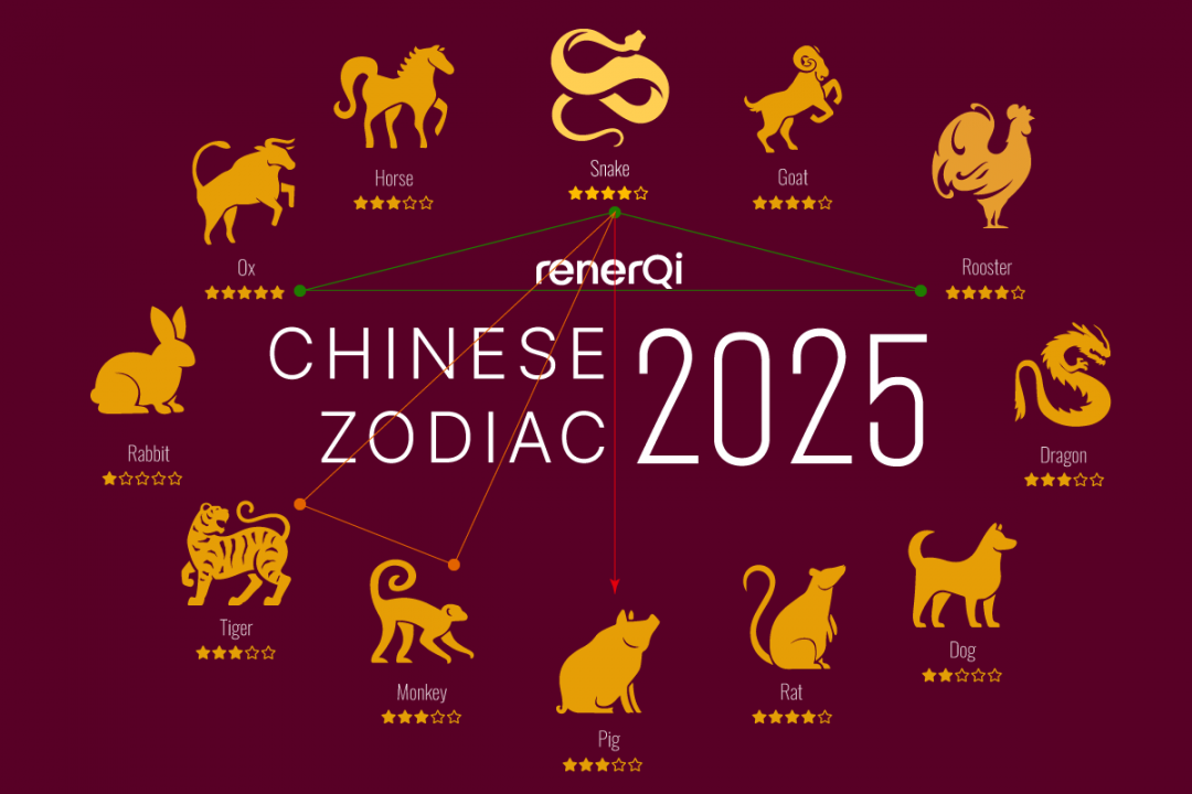 Pig Zodiac in  Painful Clash To Enlightenment - RenerQi