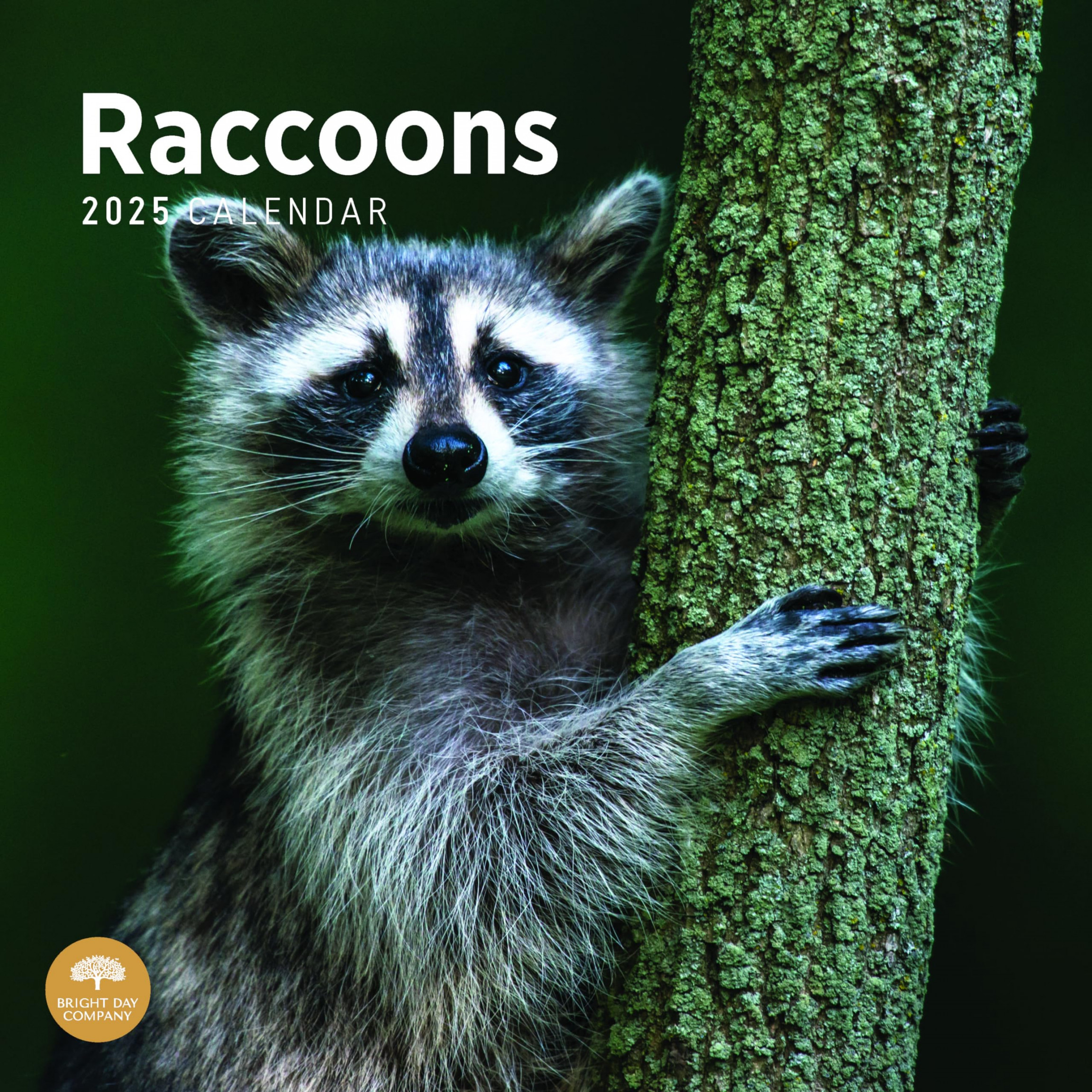 Bright Day Calendars  Raccoons Monthly Wall Calendar - Cute