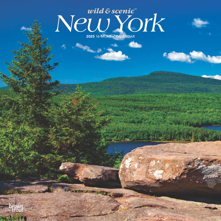 New York Wild & Scenic    x  Inch Monthly Square Wall Calendar   Plastic-Free