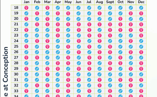 what is chinese calendar in pregnancy