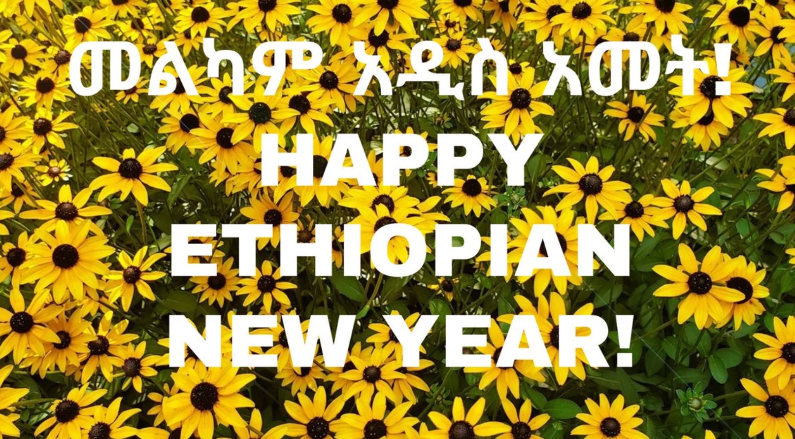 Ethiopian New Year Enkutatash celebration Meskerem September